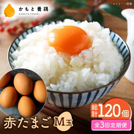 【ふるさと納税】【全3回定期便】 【化粧箱入り】赤たまご M玉 40個 (37個＋割れ保証3個)【農事組合法人 鹿本養鶏組合】[ZCA003] 贈答用 贈答 鶏卵 玉子