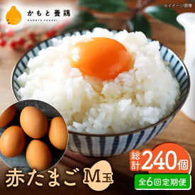 【ふるさと納税】【全6回定期便】 【化粧箱入り】赤たまご M玉 40個 (37個＋割れ保証3個)【農事組合法人 鹿本養鶏組合】[ZCA004] 贈答用 贈答 鶏卵 玉子