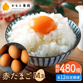 【ふるさと納税】【全12回定期便】 【化粧箱入り】赤たまご M玉 40個 (37個＋割れ保証3個)【農事組合法人 鹿本養鶏組合】[ZCA005] 贈答用 贈答 鶏卵 玉子