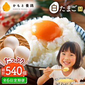 【ふるさと納税】【全6回定期便】白たまご M玉 90個（85個＋5個割れ保証）【農事組合法人 鹿本養鶏組合】[ZCA007] 鶏卵 玉子 たまごかけご飯