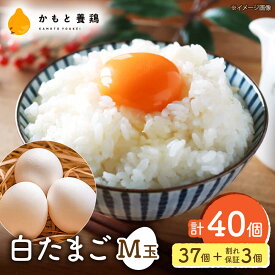 【ふるさと納税】【化粧箱入り】白たまご M玉 40個（37個＋3個割れ保証）【農事組合法人 鹿本養鶏組合】[ZCA009] 贈答用 贈答 鶏卵 玉子 たまごかけご飯