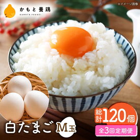 【ふるさと納税】【全3回定期便】【化粧箱入り】白たまご M玉 40個（37個＋3個割れ保証）【農事組合法人 鹿本養鶏組合】[ZCA010] 贈答用 贈答 鶏卵 玉子 たまごかけご飯