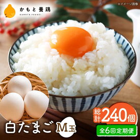【ふるさと納税】【全6回定期便】【化粧箱入り】白たまご M玉 40個（37個＋3個割れ保証）【農事組合法人 鹿本養鶏組合】[ZCA011] 贈答用 贈答 鶏卵 玉子 たまごかけご飯