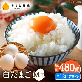 【ふるさと納税】【全12回定期便】【化粧箱入り】白たまご M玉 40個（37個＋3個割れ保証）【農事組合法人 鹿本養鶏組合】[ZCA012] 贈答用 贈答 鶏卵 玉子 たまごかけご飯