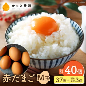 【ふるさと納税】【化粧箱入り】赤たまご M玉 40個（37個＋3個割れ保証）【農事組合法人 鹿本養鶏組合】[ZCA013] 贈答用 贈答 鶏卵 玉子 たまごかけご飯 卵かけご飯