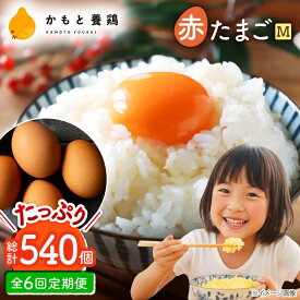 【ふるさと納税】【全6回定期便】赤たまご M玉 90個（85個＋5個割れ保証）【農事組合法人 鹿本養鶏組合】[ZCA015] 鶏卵 玉子 たまごかけご飯