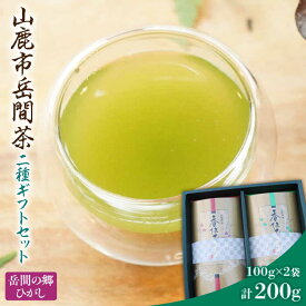 【ふるさと納税】高級茶『山鹿市岳間茶』2袋ギフトセット 【岳間の郷ひがし】[ZCH005]