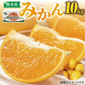 yӂ邳Ɣ[Łz݂ 10kgy܉ʎz[ZCJ005] F{݂ ݂ I ͂ i Yn Y F{ Rs