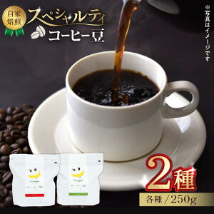 yӂ邳Ɣ[Łzŷ܂܁z XyVeBR[q[  i 250g × 2 j40ty܉ʎz[ZCJ015] R[q[ coffee hN ݕ  Y F{