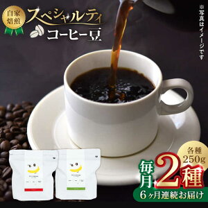 yӂ邳Ɣ[Łzy6ցzŷ܂܁z XyVeBR[q[  i 250g × 2 j40ty܉ʎz[ZCJ016] R[q[ coffee hN ݕ  Y F{