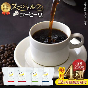 yӂ邳Ɣ[Łzy12ցzŷ܂܁z XyVeBR[q[  i 250g × 4 j80ty܉ʎz[ZCJ018] R[q[ coffee R[q[ hN ݕ  Y B