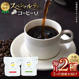 yӂ邳Ɣ[Łzy3ցzŷ܂܁z XyVeBR[q[  i 250g × 2 j40ty܉ʎz[ZCJ019] R[q[ coffee hN ݕ  Y F{