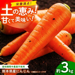 �y�ӂ邳�Ɣ[�Łz�y��s�\��z�ɂ񂶂� ��3kg �V���������y�y��ō�����������̐l�Q �y������� ���A�O���z[ZCL018]