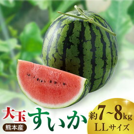 【ふるさと納税】【先行予約】大玉 すいか LLサイズ スイカ 西瓜 熊本 果物 くだもの フルーツ 人気 季節物 新鮮 産地直送 甘い 糖度 おすすめ 地域 特産 期間限定 評判 種類 大きい サイズ 熊本県 山鹿市【株式会社 前田ファーム】[ZCM002]