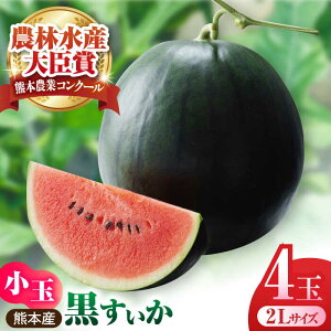 yӂ邳Ɣ[Łzys\zʂ 4 2LTCY y Oct@[z[ZCM010] { ʕ  t[c XCJ Z  lC Gߕ VN Yn Â  x  