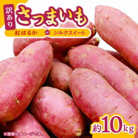 【ふるさと納税】【先行予約】【数量限定】さつまいも 紅はるか or シルクスイート 蜜芋 10kg【合同会社 福福堂】[ZCN001]