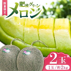 【ふるさと納税】【先行予約】 肥後グリーン メロン 2玉 メロン くだもの ブランド 人気 鮮度 高級 種類 甘さ 甘み フレッシュ ジューシー 甘み 大きい 産地直送 糖度 おすすめ 高評価 リピーター レビュー 季節物 新鮮 熊本 山鹿市【合同会社 福福堂】[ZCN003]