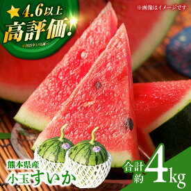 【ふるさと納税】【先行予約】 小玉 すいか 2玉 スイカ 西瓜 くだもの 人気 季節物 新鮮 産地直送 糖度 おすすめ フレッシュ ジューシー 果肉 高級感 高品質 特産 評判 高評価 贈答用 リピーター 種類 山鹿市 くまもと 熊本県産【合同会社 福福堂】[ZCN005]