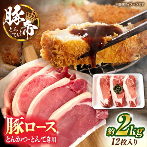 yӂ邳Ɣ[Łzؒ [XƂ񂩂EƂĂp Jbg 2kgi1170`180g×12jyKRAZY MEAT(c{Y)z[ZCP147]