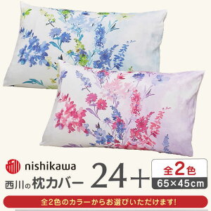 yӂ邳Ɣ[Łznishikawa̖Jo[ 24+(65×45cm)PJ05450606y Ёz[ZDL085]