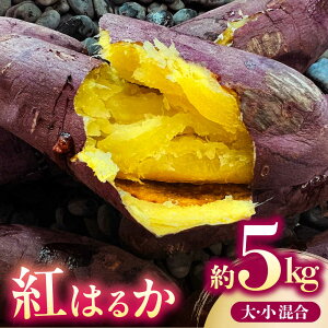 �y�ӂ邳�Ɣ[�Łz���܂��� �g�͂邩 ��5kg�y������� �A�O���t�@�[�������z[ZDN002]