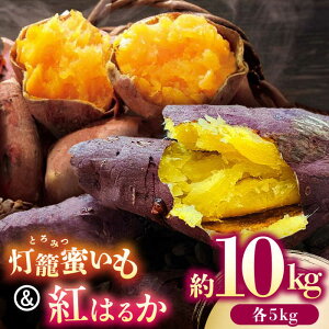 �y�ӂ邳�Ɣ[�Łz���܂��� �H�ה�� �Z�b�g�u���Ė����� �Ƃ�݂����v�Ɓu �g�͂邩 �v�v ��10kg (�e5kg)�y������� �A�O���t�@�[�������z[ZDN003]