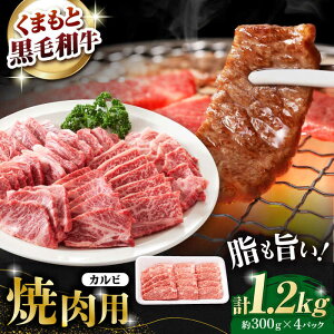 yӂ邳Ɣ[ŁzF{Y јa Jr ēp 1.2kg(300g×4pc)yL BHYƁz[ZDQ154]