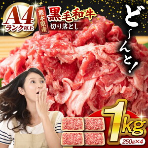 yӂ邳Ɣ[ŁzF{Y јa ؂藎Ƃ v1kg (250g×4P)  ؂藎Ƃ Y a uh A4Nȏ A4 A5  Ⓚ   ܓ Ⴊ uߕ u gF