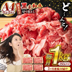 yӂ邳Ɣ[Łzy3ցzF{Y јa ؂藎Ƃ v1kg (250g×4P)  ؂藎Ƃ Y a uh A4Nȏ A4 A5  Ⓚ   ܓ Ⴊ uߕ B