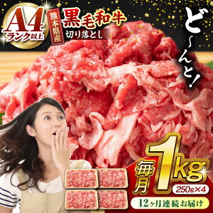 yӂ邳Ɣ[Łzy12ցzF{Y јa ؂藎Ƃ v1kg (250g×4P)  ؂藎Ƃ Y a uh A4Nȏ A4 A5  Ⓚ   ܓ Ⴊ uߕ 