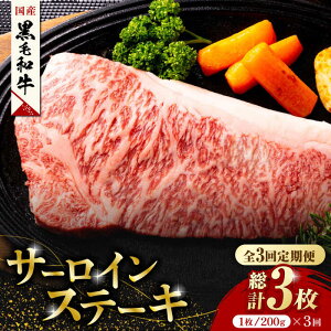 yӂ邳Ɣ[Łzy3ցzF{Y јa T[C Xe[L 1 200g  Xe[L Y a A4Nȏ A4 A5 Ⓚ  T[C Ă BBQ o[xL[ ~  BY 
