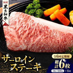 yӂ邳Ɣ[Łzy6ցzF{Y јa T[C Xe[L 1 200g  Xe[L Y a A4Nȏ A4 A5 Ⓚ  T[C Ă BBQ o[xL[ ~  BY 
