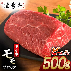 yӂ邳Ɣ[ŁzF{Y    ubN  500g Y  Ԑg ubN  ԋ   Ԑg јa  B  Mtg v[g Ⓚ  [