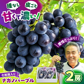 【ふるさと納税】【先行予約】 ぶどう ナガノパープル 2房（約800g〜1.2kg）葡萄 房 大粒 種なし 皮ごと食べれる ギフト 贈答用 甘い 果実 旬 果物 フルーツ 新鮮 熊本県 熊本 山鹿市 箱入り 産地直送 [ZDS003]