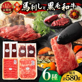 【ふるさと納税】【12回定期便】「熊本特産馬刺しと熊本黒毛和牛」フジチクオリジナル贅沢食べ比べセット 3905【有限会社 スイートサプライなかぞの】[ZDT149]