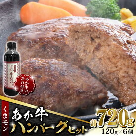 【ふるさと納税】【数量限定】くまモン あか牛 ハンバーグ セット　120g×6個【有限会社 三協畜産】[ZEB036]