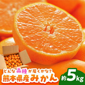 【ふるさと納税】【先行予約】みかん 約5kg【道の駅 水辺プラザかもと】[ZEG002]