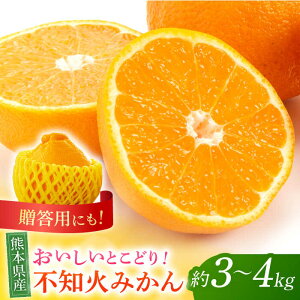 yӂ邳Ɣ[Łzys\zsm ݂ 3kg`4kg ʕ ϔ pỷw ӃvUƁz[ZEG003]