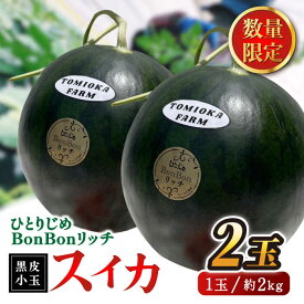 【ふるさと納税】【数量限定】【先行予約】ひとりじめBonBonリッチ〜黒皮小玉 スイカ 2玉〜【とみおか農園】[ZEM002]