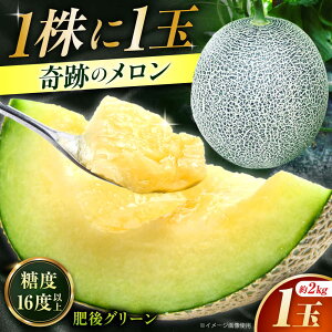 yӂ邳Ɣ[Łzys\z O[  2kgi1ʁj yƂ݂_z[ZEM005]