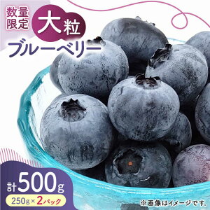 yӂ邳Ɣ[Łzys\z嗱 u[x[ 500gi250g×2pcj y݂t@[z[ZEP001]