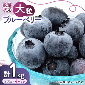 yӂ邳Ɣ[Łzys\z嗱 u[x[ 1000gi250g×4pcj y݂t@[z[ZEP002]