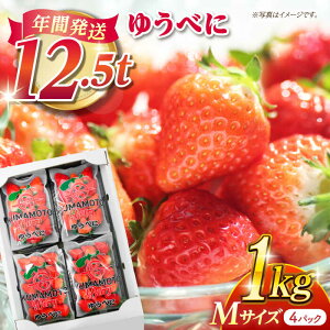 yӂ邳Ɣ[Łz MTCY 䂤ׂ 1kgi4pcjyF{x[z[ZER007] C`S  Xgx[ Mtg Yn VN { ] r[ ntbV Y F{Y ʕ  t[c 