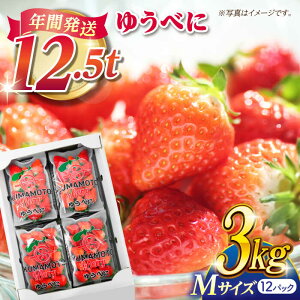 yӂ邳Ɣ[Łz MTCY 䂤ׂ 3kgi12pcjyF{x[z[ZER009] C`S  Xgx[ Mtg Yn VN { ] r[ ntbV Y F{Y ʕ  t[c