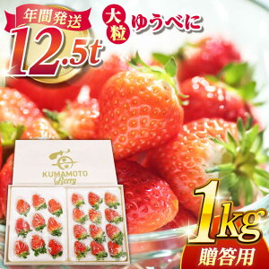 yӂ邳Ɣ[Łzypzϔ 嗱 䂤ׂ 1kgyF{x[z[ZER013] C`S  Xgx[ Mtg Yn VN ] ntbV Y F{Y ʕ t[c lC 