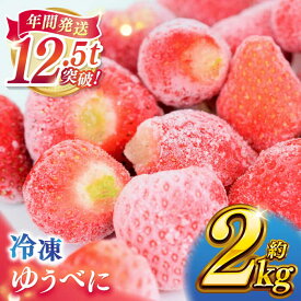 【ふるさと納税】冷凍 いちご ゆうべに 約2kg【熊本ベリー】[ZER014]