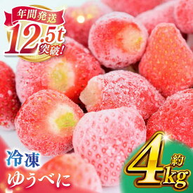 【ふるさと納税】冷凍 いちご ゆうべに 約4kg【熊本ベリー】[ZER015]