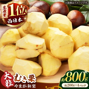 yӂ邳Ɣ[Łzys\zyʌz܂aI 嗱ނI 800gi200g×4pcjyÐ_z[ZES001]