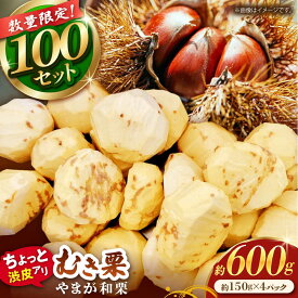 【ふるさと納税】【先行予約】 【風味豊か♪ちょっと渋皮つき】やまが和栗 大粒むき栗 渋皮つき約600g（約150g×4pc）小分け【古川農園】[ZES002] 栗 大粒 むき栗 くり フルーツ 熊本県産 山鹿市 果物 スイーツ 栗きんとん 甘露煮 ケーキ テリーヌ 和菓子 お菓子 栗ご飯