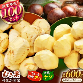 【ふるさと納税】【先行予約】 【渋皮あり・なし両方楽しめる！】食べ比べ やまが和栗 大粒むき栗 計約600g（渋皮付き約150g×2pc・渋皮なし約150g×2pc）小分け【古川農園】[ZES003] 栗 大粒 むき栗 くり フルーツ 熊本県産 山鹿市 果物 スイーツ 栗きんとん 甘露煮 お菓子